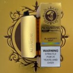 Alibarbar Vape 9000 (Blueberry Mint) – In stock in Australia, ready for immediate dispatch.