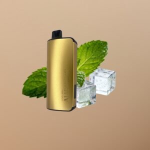 Alibarbar Vape 9000 – Cool Mint (In stock in Australia, ready for immediate dispatch)